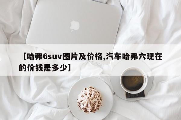 【哈弗6suv图片及价格,汽车哈弗六现在的价钱是多少】