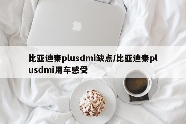 比亚迪秦plusdmi缺点/比亚迪秦plusdmi用车感受