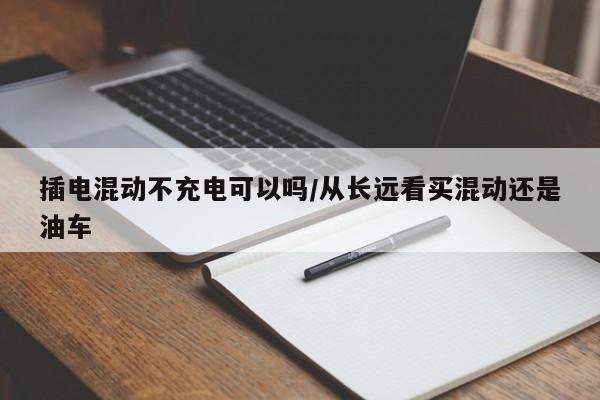 插电混动不充电可以吗/从长远看买混动还是油车